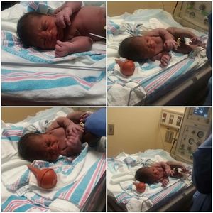 Meet your Posher, Honey